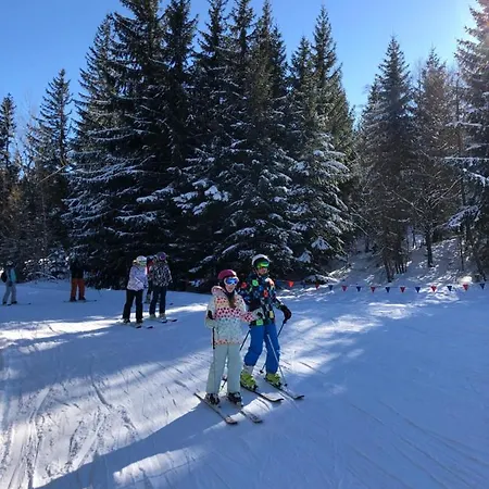 La Siesta Triventi Mountain * Karpacz